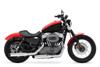 Harley-Davidson (R) Sportster(R) 1200 Nightster(R) 2010